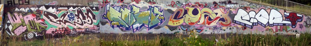 wrkglsscrspcfcdr0808wrchs