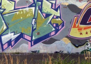 wrkglsscrspcfcdr0808wrchs