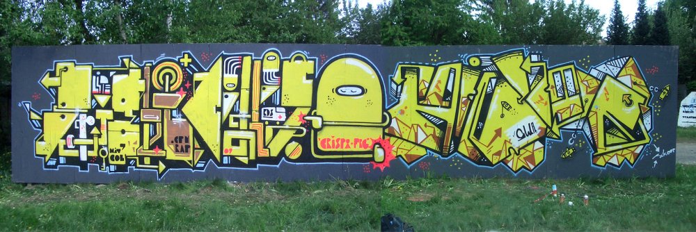 brghtcllsfrgsktrbhn509