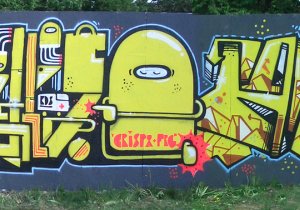 brghtcllsfrgsktrbhn509