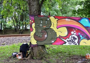 brddgrbtzcldgnstcld0613 (Mittel)