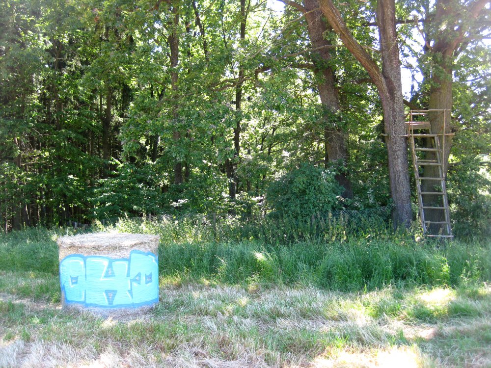 hdsthbllntbrczmghtysnds0713