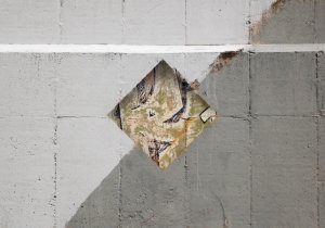 greetings to new zealand