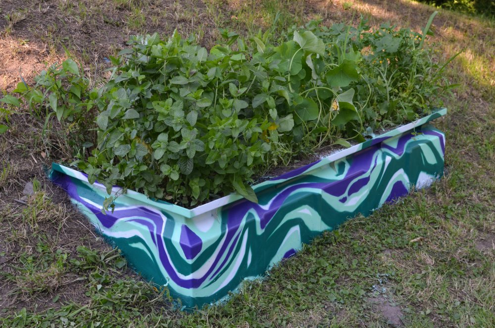 hchbtdsgn2jchtndd0616