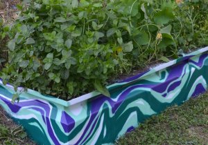 hchbtdsgn2jchtndd0616