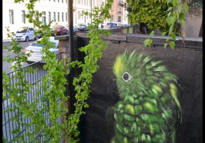 grnparakeetbrmmrsdd0516