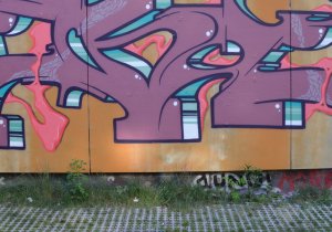 hdbrflshbckfcmbdschndd0517