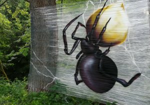 brspdr1ltnbrg_140619