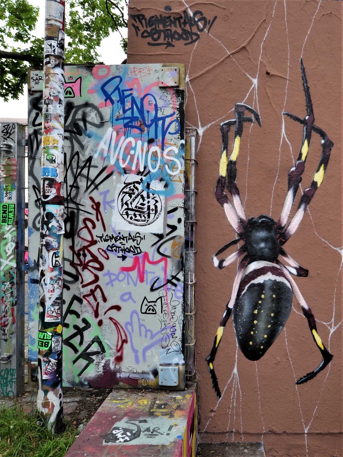 brspdr2schndd_180619